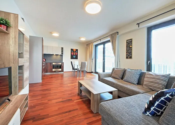 Apartament Ol *